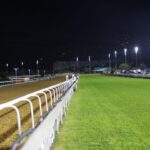 Poly and Turf track difference