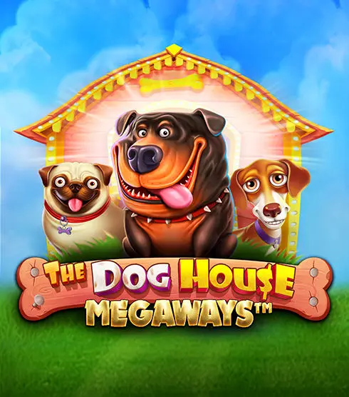 Doghouse main image