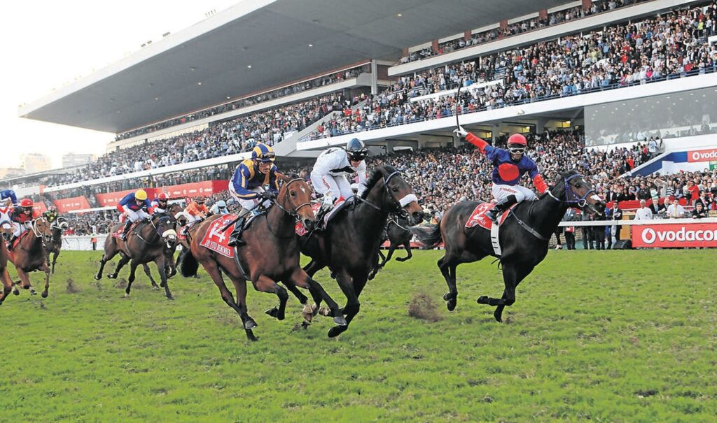 Durban July 2025: Final Field and Draw