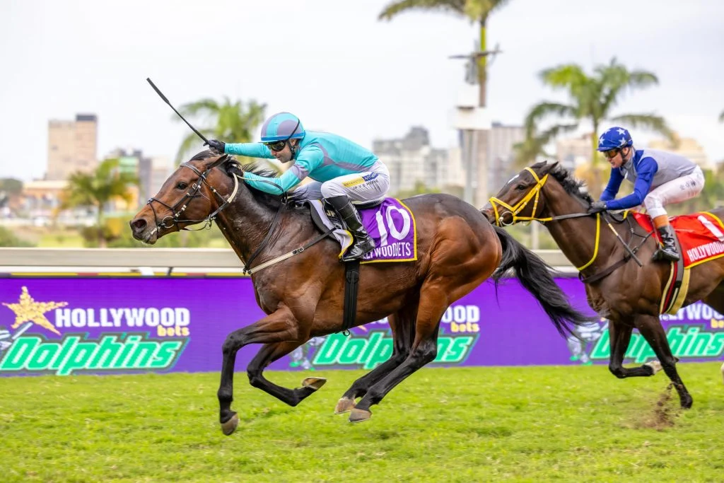 Oriental Charm Durban July 2025 Champion