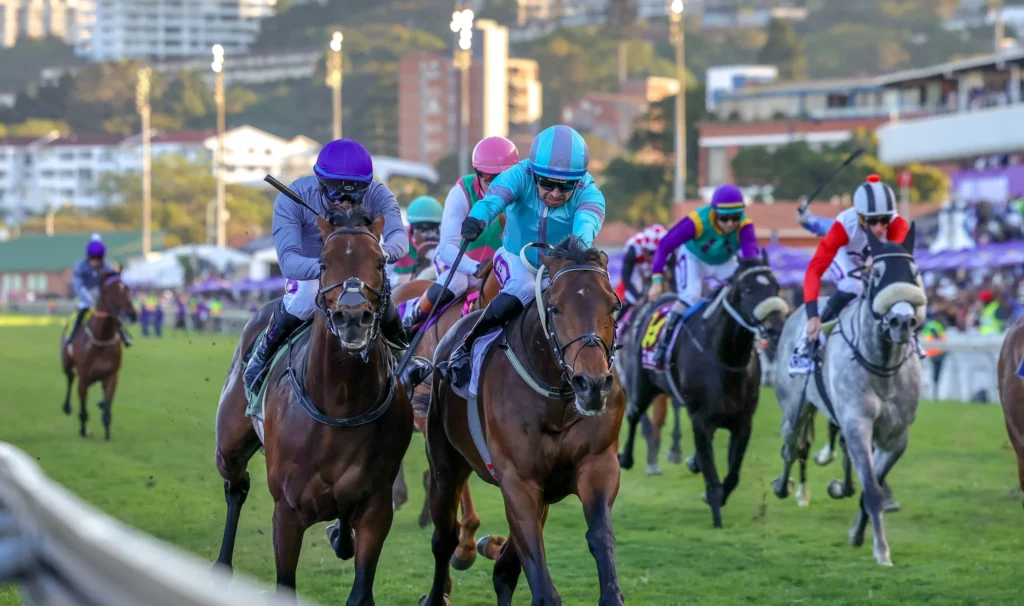 Durban July Tips?2025