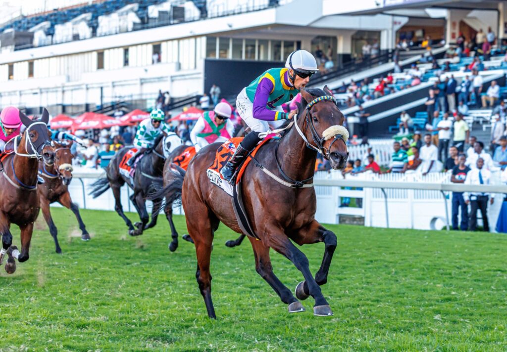 Selukwe Durban July 2025 Upset